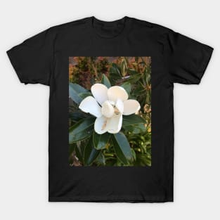 Magnolia T-Shirt